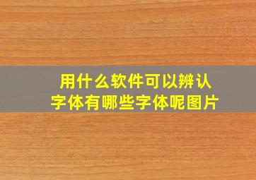 用什么软件可以辨认字体有哪些字体呢图片