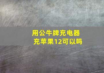 用公牛牌充电器充苹果12可以吗