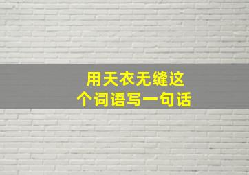 用天衣无缝这个词语写一句话