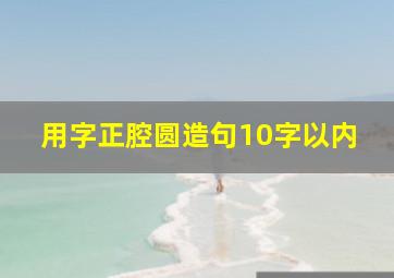 用字正腔圆造句10字以内