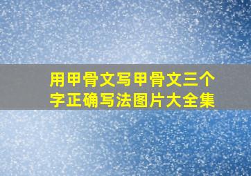 用甲骨文写甲骨文三个字正确写法图片大全集