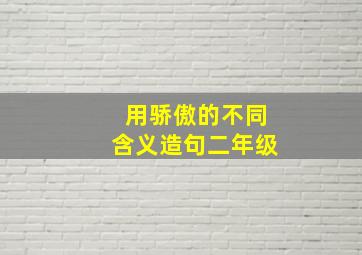 用骄傲的不同含义造句二年级