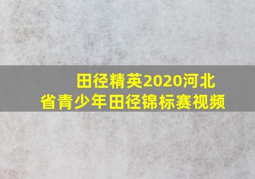 田径精英2020河北省青少年田径锦标赛视频