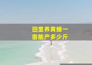 田里养黄鳝一亩能产多少斤