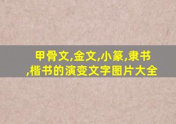 甲骨文,金文,小篆,隶书,楷书的演变文字图片大全