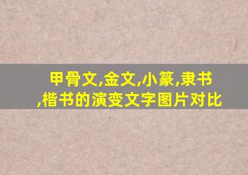 甲骨文,金文,小篆,隶书,楷书的演变文字图片对比