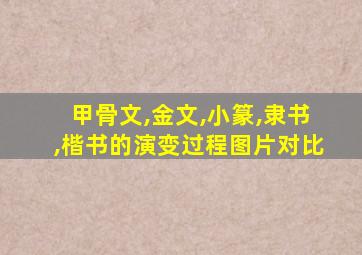 甲骨文,金文,小篆,隶书,楷书的演变过程图片对比