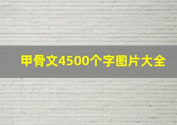 甲骨文4500个字图片大全