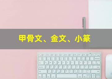 甲骨文、金文、小篆