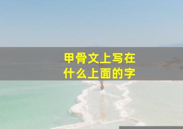 甲骨文上写在什么上面的字