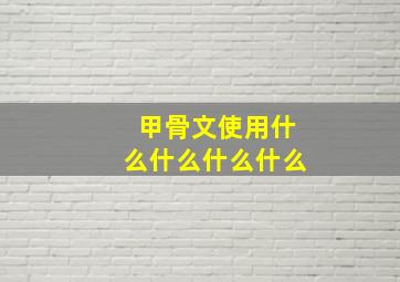 甲骨文使用什么什么什么什么