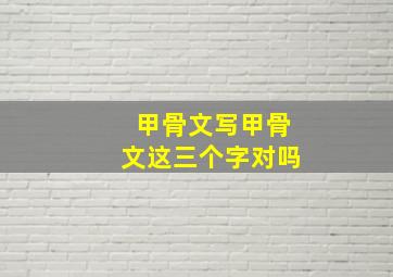 甲骨文写甲骨文这三个字对吗