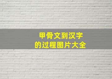 甲骨文到汉字的过程图片大全