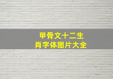 甲骨文十二生肖字体图片大全