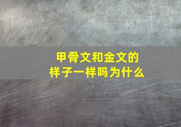 甲骨文和金文的样子一样吗为什么