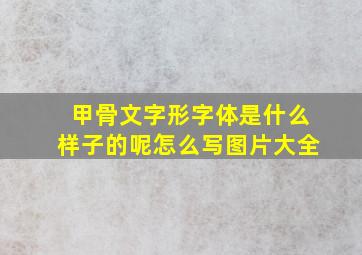 甲骨文字形字体是什么样子的呢怎么写图片大全