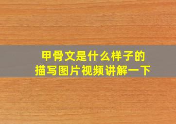 甲骨文是什么样子的描写图片视频讲解一下