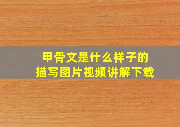 甲骨文是什么样子的描写图片视频讲解下载