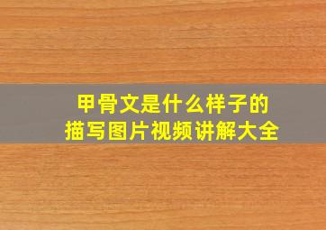 甲骨文是什么样子的描写图片视频讲解大全