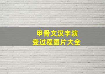 甲骨文汉字演变过程图片大全