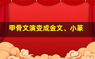 甲骨文演变成金文、小篆