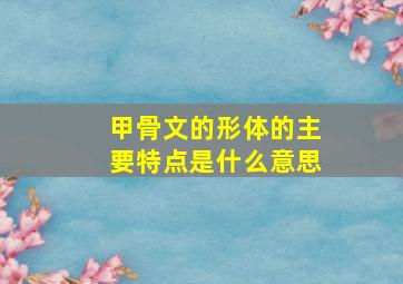 甲骨文的形体的主要特点是什么意思