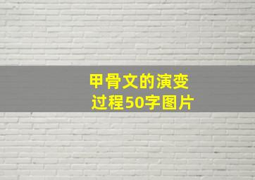 甲骨文的演变过程50字图片