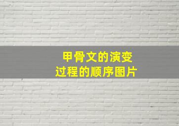 甲骨文的演变过程的顺序图片