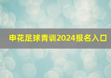 申花足球青训2024报名入口