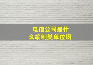 电信公司是什么编制类单位啊