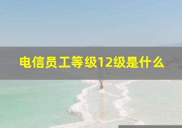 电信员工等级12级是什么