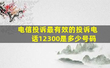 电信投诉最有效的投诉电话12300是多少号码