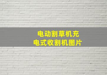 电动割草机充电式收割机图片