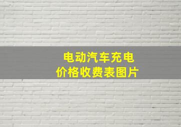 电动汽车充电价格收费表图片