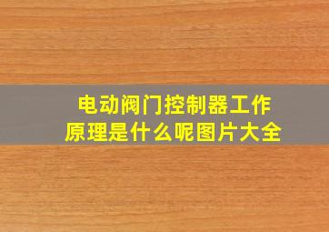 电动阀门控制器工作原理是什么呢图片大全