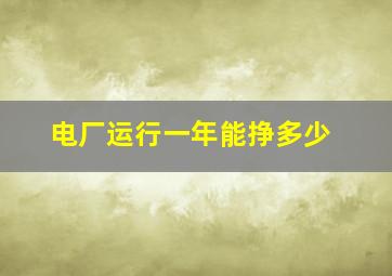 电厂运行一年能挣多少