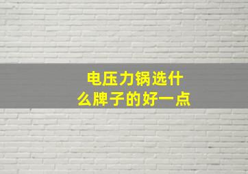 电压力锅选什么牌子的好一点