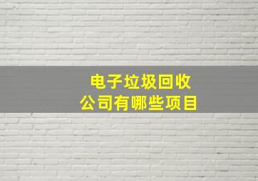 电子垃圾回收公司有哪些项目