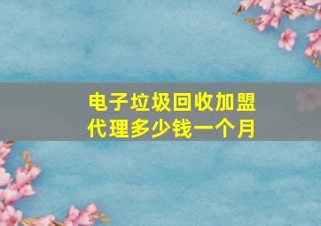 电子垃圾回收加盟代理多少钱一个月