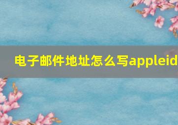 电子邮件地址怎么写appleid