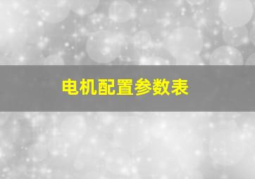 电机配置参数表