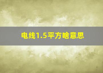 电线1.5平方啥意思