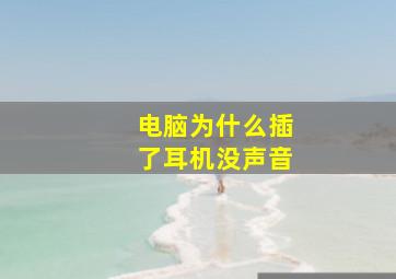 电脑为什么插了耳机没声音