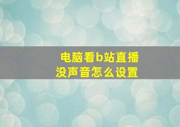 电脑看b站直播没声音怎么设置