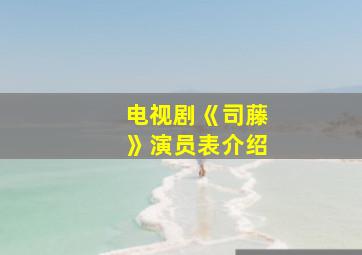 电视剧《司藤》演员表介绍