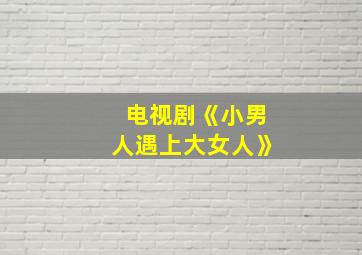 电视剧《小男人遇上大女人》