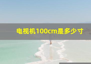 电视机100cm是多少寸