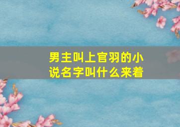 男主叫上官羽的小说名字叫什么来着