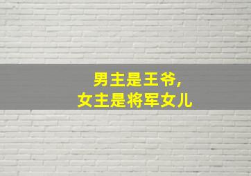 男主是王爷,女主是将军女儿