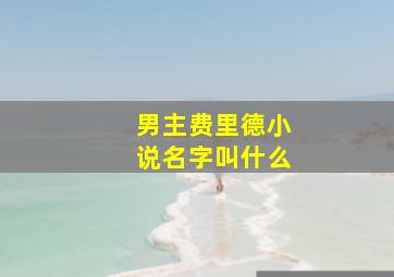 男主费里德小说名字叫什么